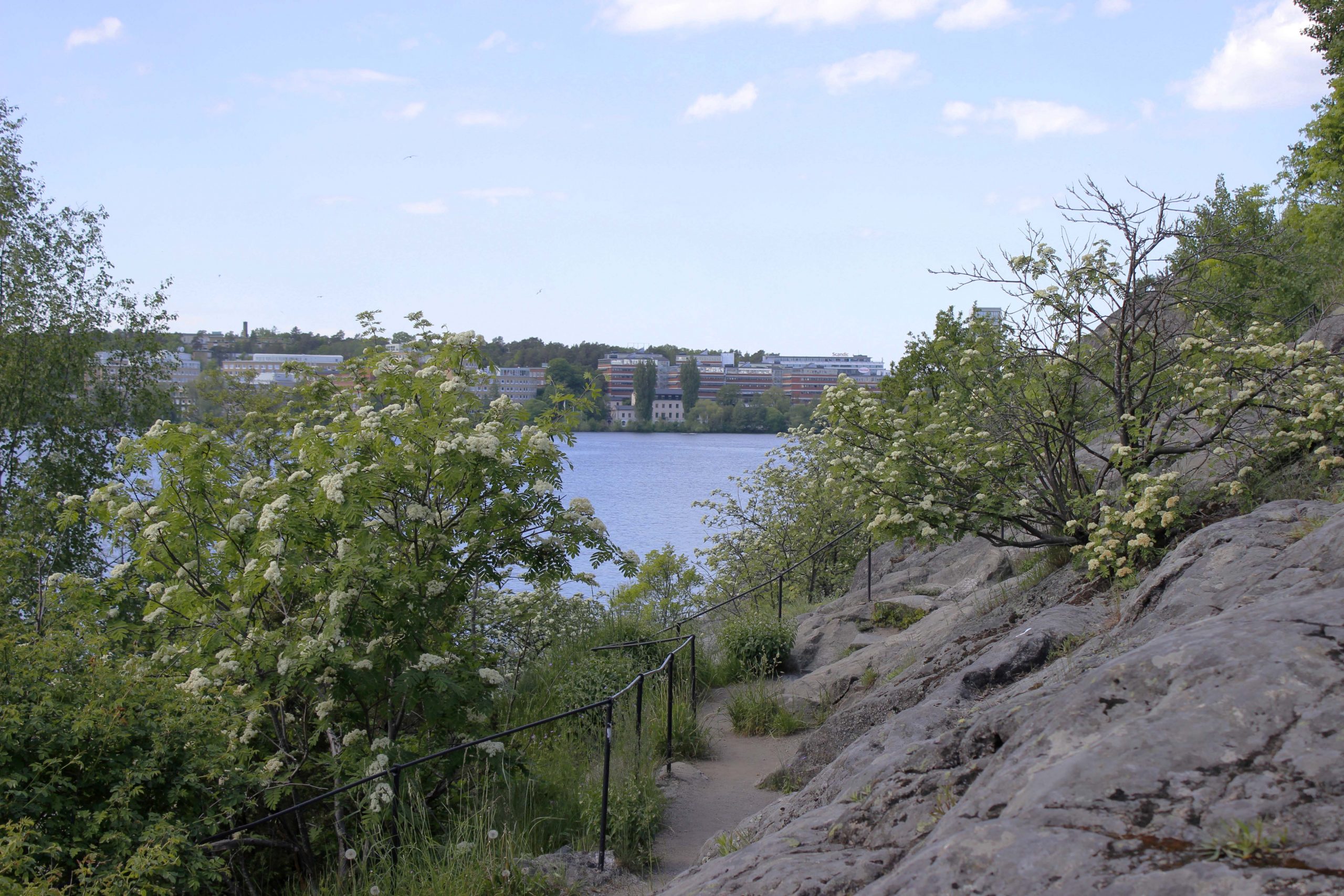 Badplatser I Stockholm - Hitta Huvudstadens Bästa Badställen